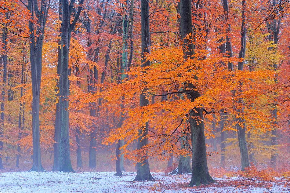 Primi assaggi di inverno in arrivo dalla fine della settimana