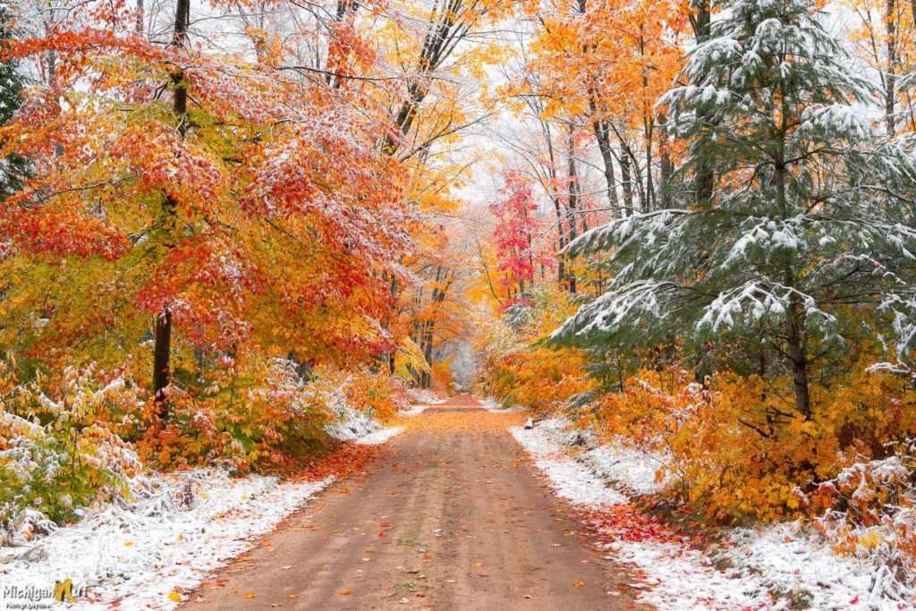 L'inverno meteorologico pianta il suo primo seme